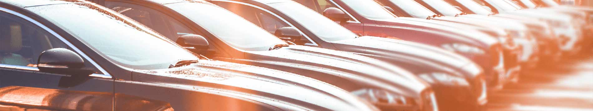 Our BBB Info Page Image